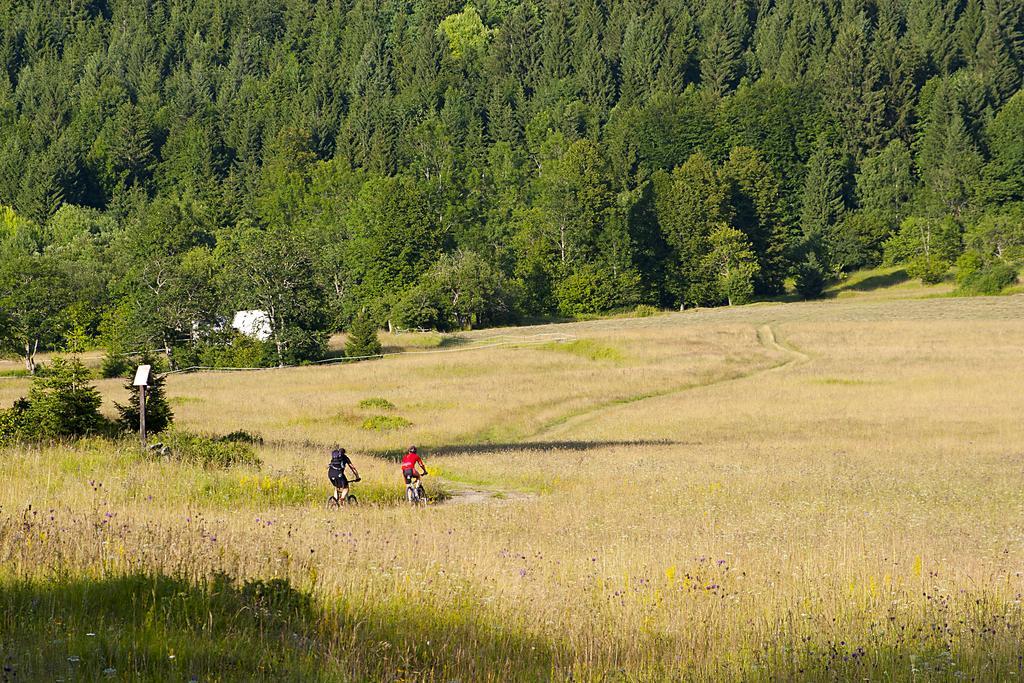 Hotel Bela Krajina เมทลิกา ภายนอก รูปภาพ